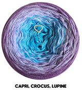 Ombreccino capri, crocus, lupine